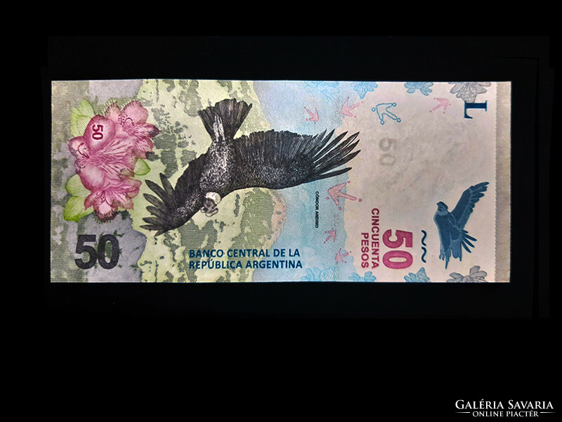 UNC - IGAZI KÜLÖNLEGES - ARGENTINA 2020-AS BANKJEGYE (Bukósas a vízjelben is!)