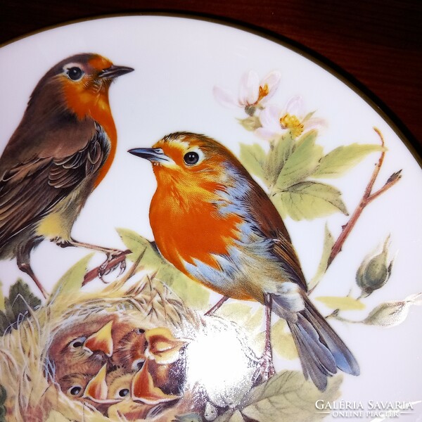 "Rotkehlchen "  ( Vörösbegy  ). Tirschenreuth, német porcelán madaras fali tányér, falidísz. Sorszám