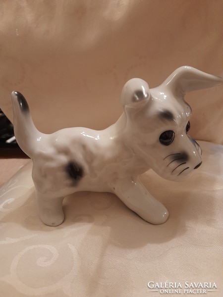 Cuki foltos porcelán kutya