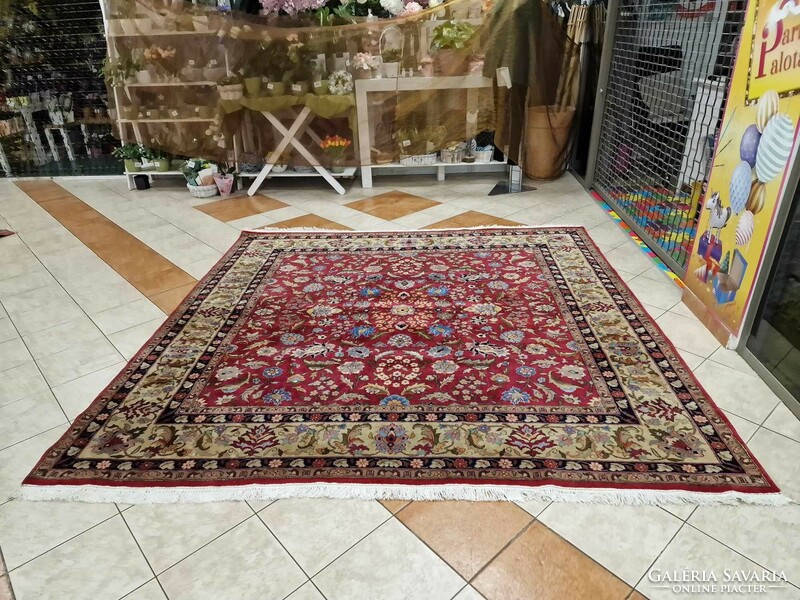 Dreamy ziegler pattern hand knotted 275x275 wool persian rug bfz555