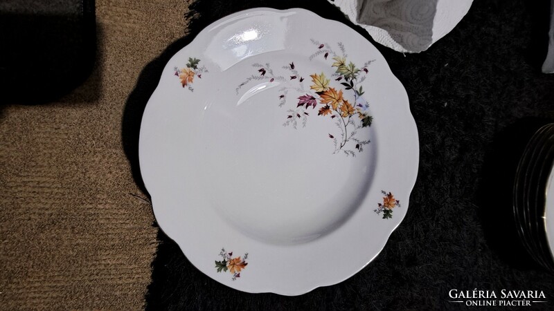 Colditz leaf pattern porcelain plate set
