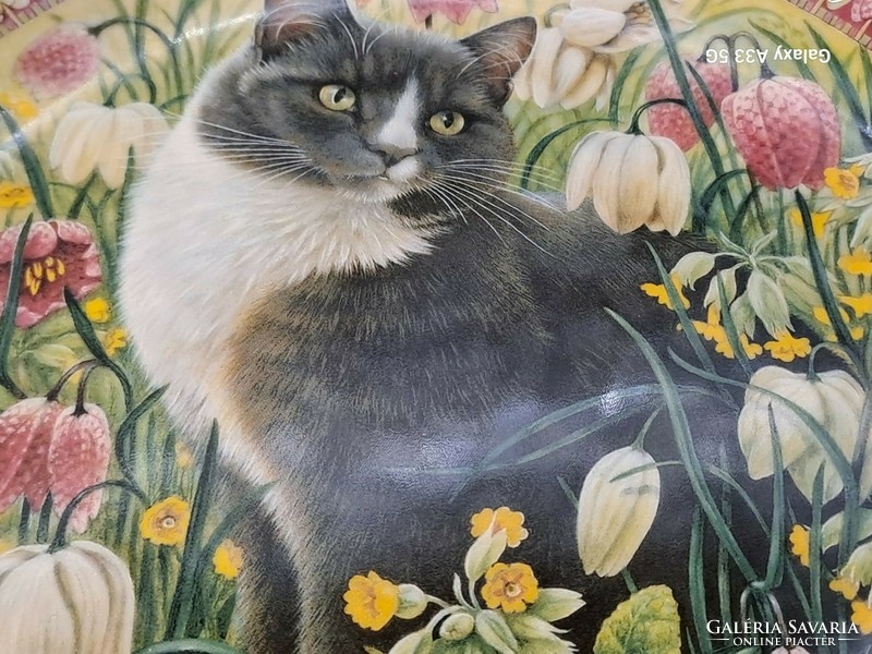 The Franklin Mint The Four Seasons cat gyűjtői angol porcelán tányérok négy évszak macska cica