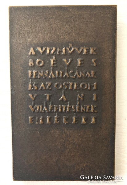 Madarassy walter (1909-1994) waterworks of Budapest Székesfóváros double-sided bronze plaque 1947