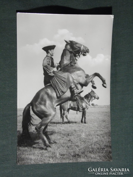 Postcard, hortobágy, with a striped horse