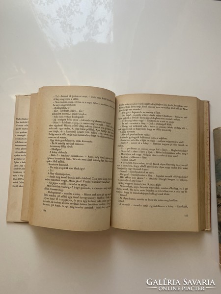 Dallos Sándor A nap szerelmese / Aranyecset 1976. 2 kötet