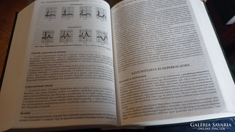 Mindenre kiterjedő orvosi lexikon Merck Manual, MSD 1994, egészségügyi szakkönyv