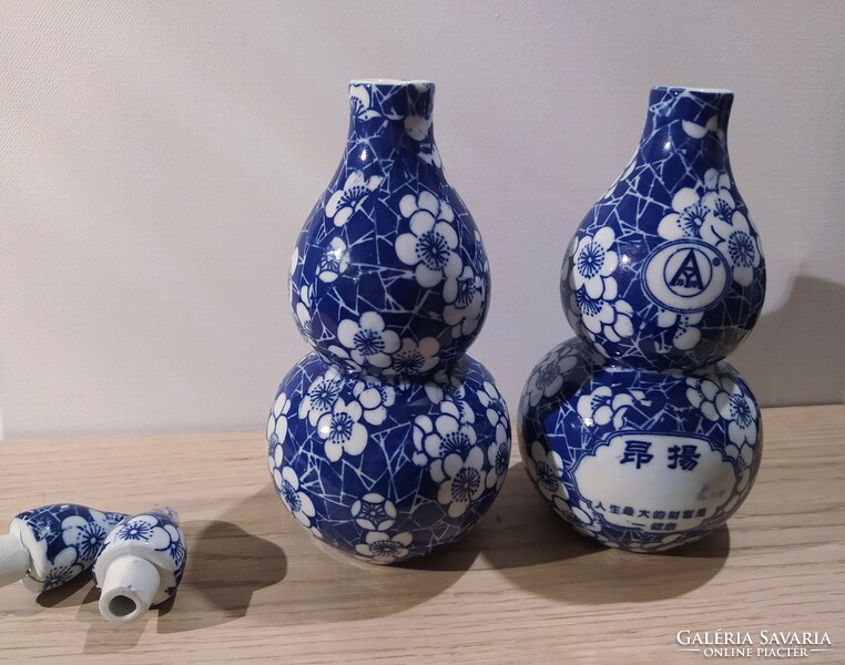 Jingdezhen porcelain bottle pair