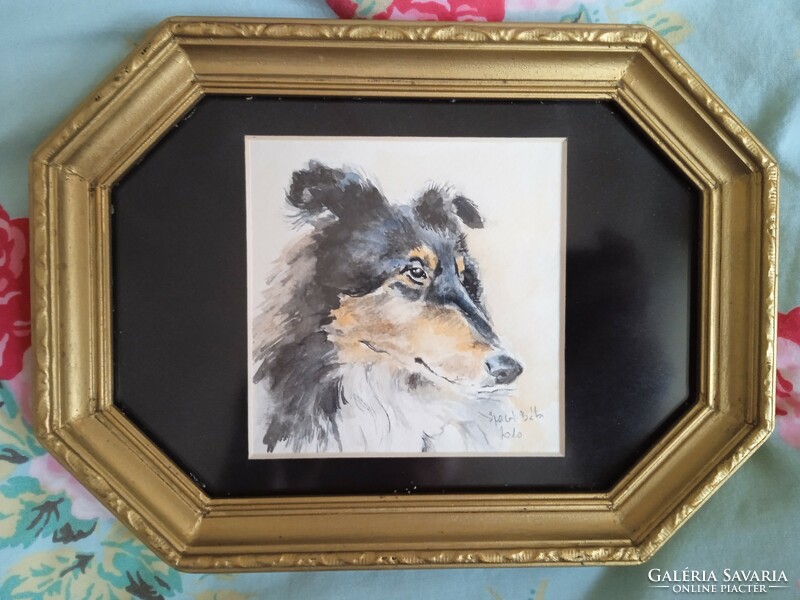 Skót juhász kutya akvarel arany keretben