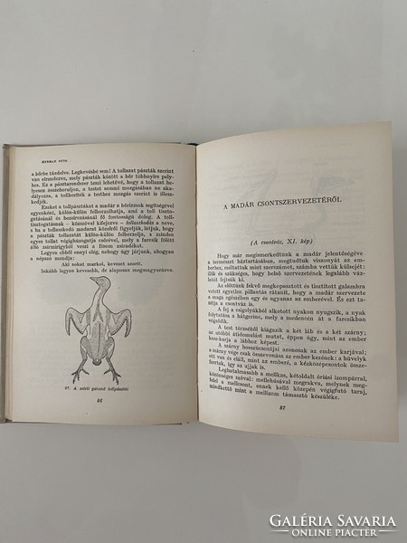 Herman Ottó A madarak hasznáról és káráról 1960 Gondolat Kiadó
