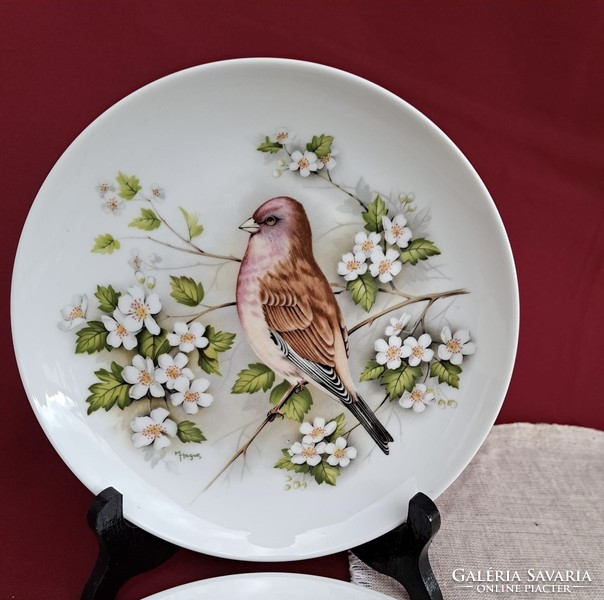 Beautiful bird kaiser wall plate plate bird decorative plate