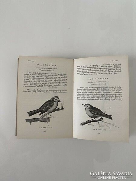1960 thoughts on the benefits and harms of birds by Otto Herman