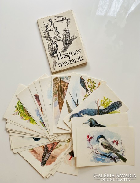 Dr. Albert Vertse useful birds (ca. 1954), 36 Page fine arts foundation publishing company Budapest