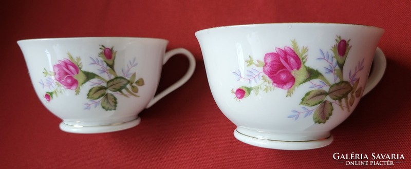 Diadem bareuther waldsassen bavaria German and Chinese porcelain cup package with flower pattern