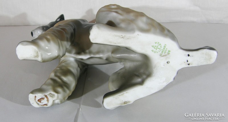 Foxi kutya I.o. Hollóházi porcelán figura - 18 cm