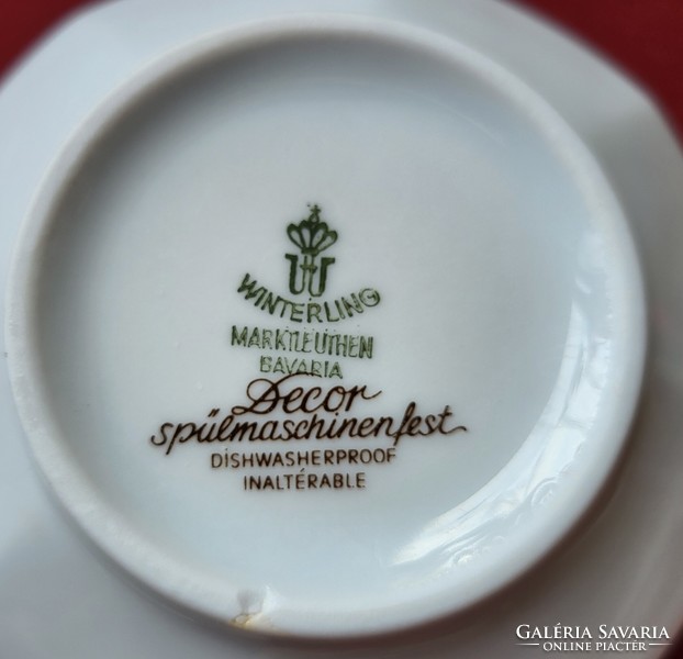 Winterling marktleuthen bavaria german porcelain soup cup small plate saucer bowl violet flower