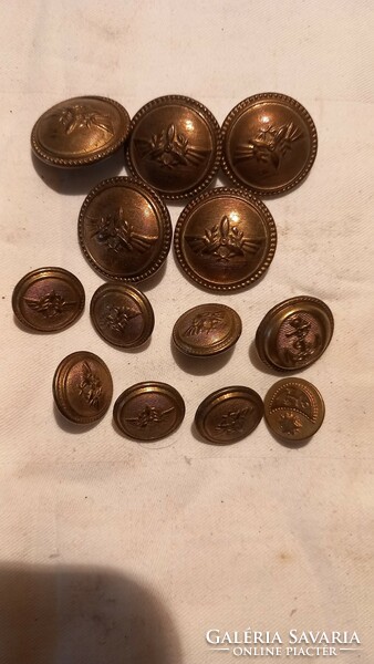 Military brass buttons