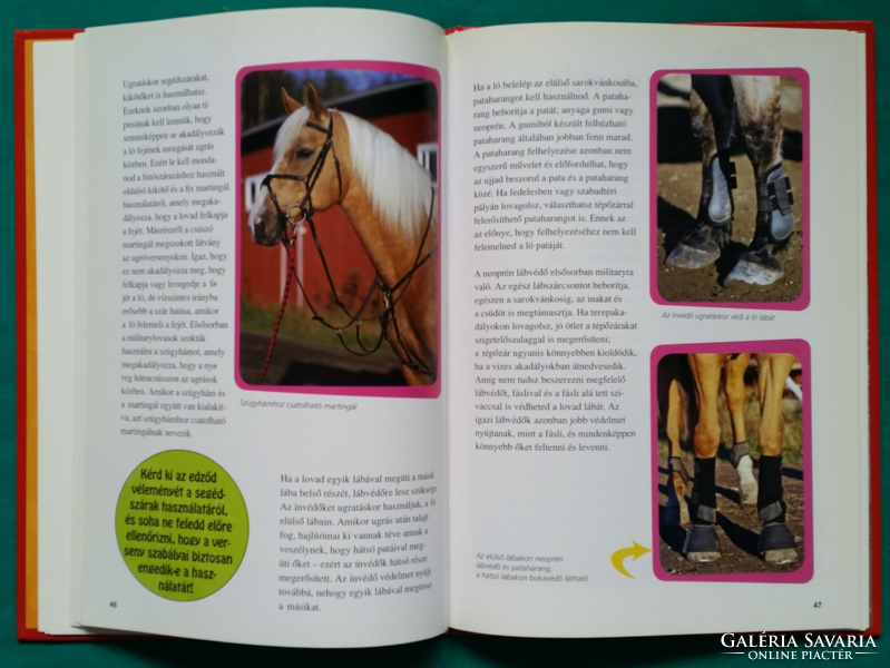 Tiina Vainikainen: show jumping - recommended by the Hungarian Pony Club - sport > riding