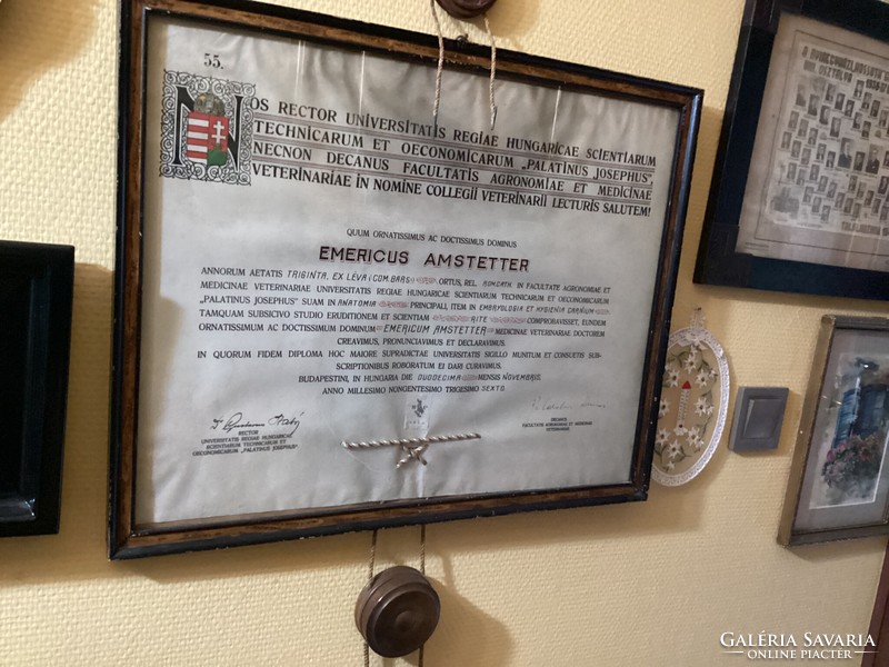 2 antique medical diplomas