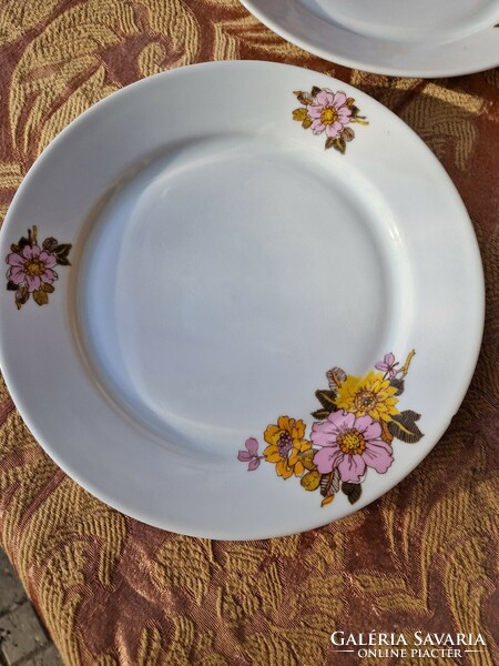 Retro lowland porcelain plates with dahlia pattern