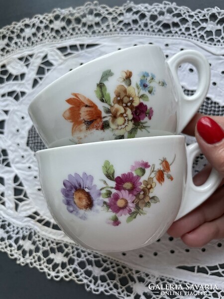 H&c chodau thick-walled old cup with flowers