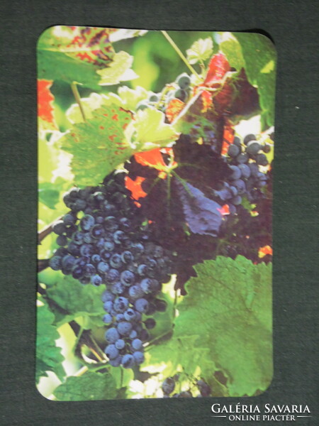 Card calendar, Völgység savings association, fruit, grape, 1999, (6)