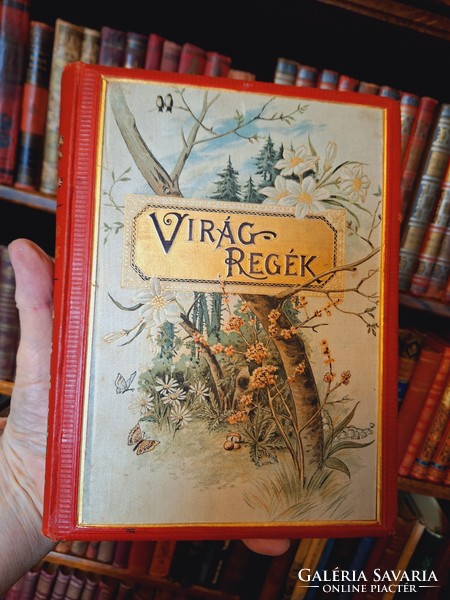 The unique collector's 1894 tompa mihály: flierregék eighth edition! With watercolor boards! Franklin
