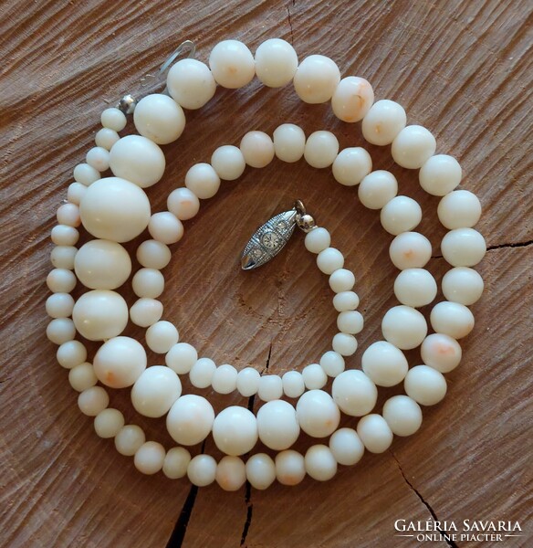Old white coral (angel skin) necklace with silver decorative clasp