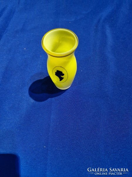 Citromsága üveg mini váz ibolyás váza