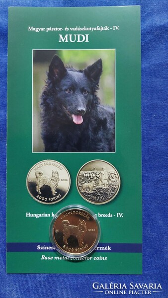 Mudi non-ferrous metal commemorative coin issued in 2022, the 4th member of the Hungarian hunting dog breed coin series!