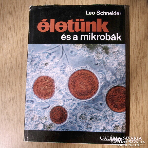 Leo Schneider - Our Lives and Microbes (Hardcover)