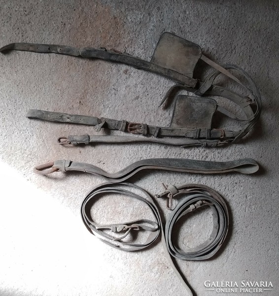 Horse tool, belt