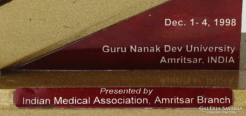 1Q375 Gura Nanak indiai egyetemi díj 28.5 cm