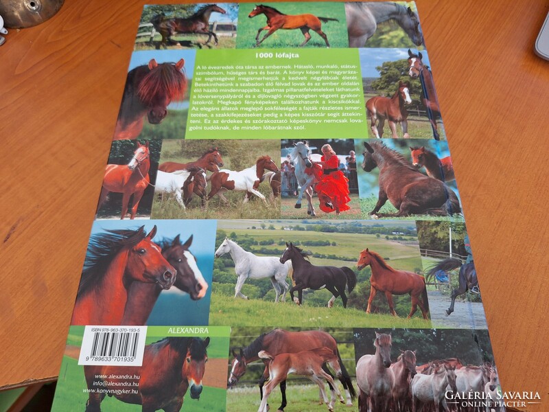 1000 horse breeds. Horse breeds of the world/horse keeping/riding. HUF 9,500