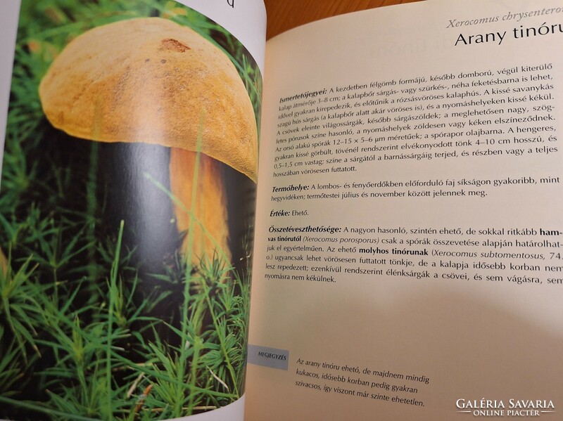 Handbook of fungi. HUF 8,500