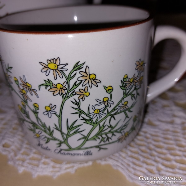 Herbal botanical mugs