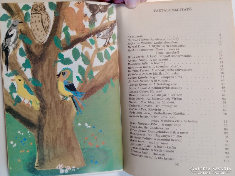 Erik a mese - Hungarian children's tales from Yugoslavia