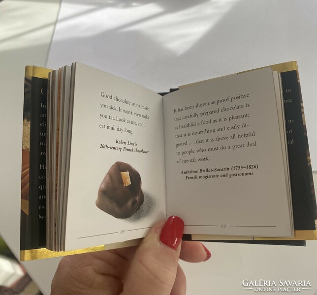Chocolate is a wonderfully illustrated little book in English