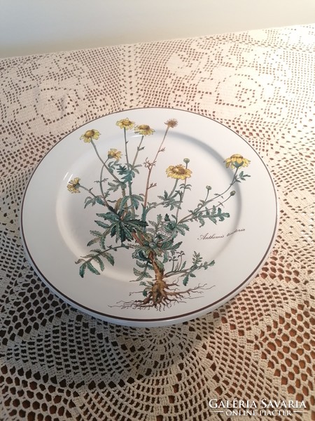 Villeroy and boch botanica plates 24 cm. Booked as Terezbacsi user.