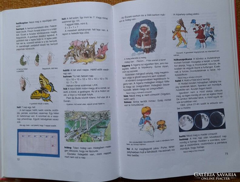 Window giraffe - picture children's dictionary