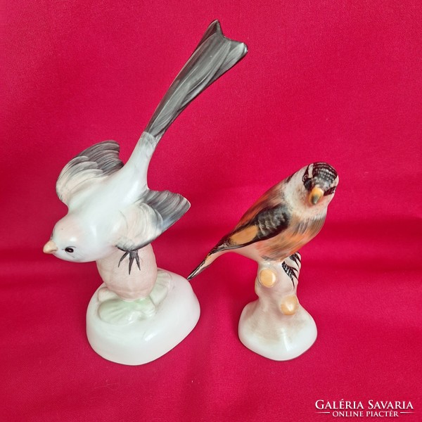 Aquincumi porcelán madár, őszapó és pacsirta