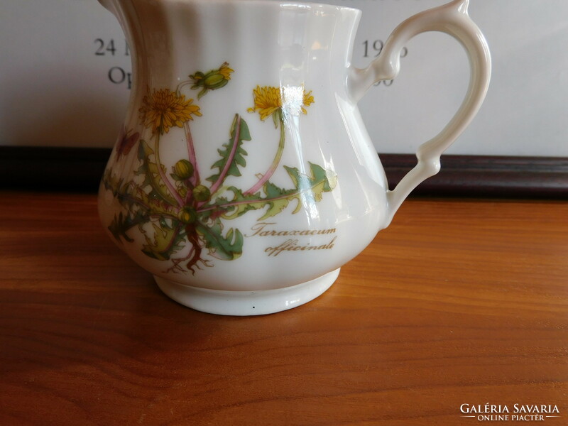 Kronester bavaria botanical pattern (dandelion) milk spout - 70s