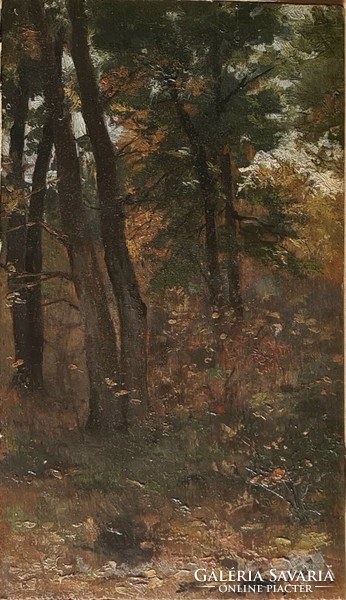 Pállya Celesztin (1864 - 1948) : Erdőrészlet