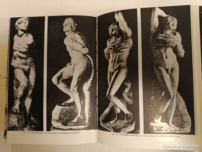 Karel Schulcz: Kőbe zárt fájdalom - Michelangelo élete 1973