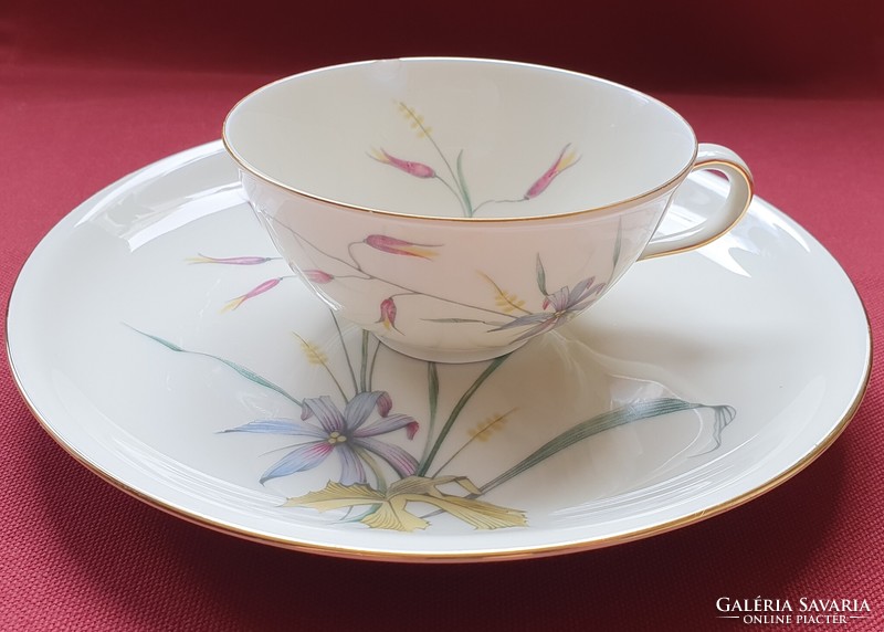 Eschenbach Bavaria német porcelán kávés teás reggeliző csésze kistányér tányér