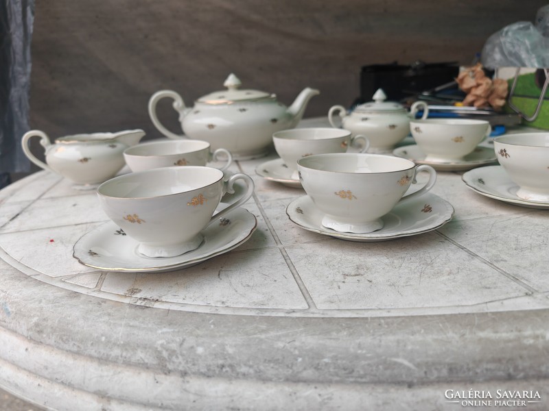 Antique Slovak tea set