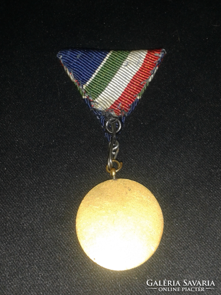 1954. Commemorative medal for annual Danube flood protection - award on original ribbon