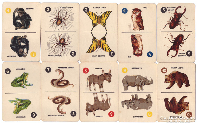313. Animal pictures children's card playing card factory around 1960 46 sheets