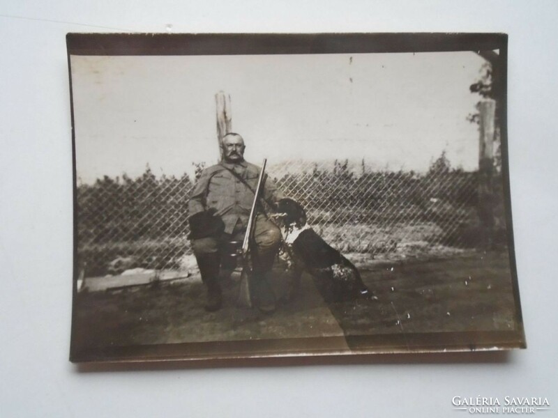 D201158  -  Régi fotó -Vadász  puskával és vadászkutyával  1910-20