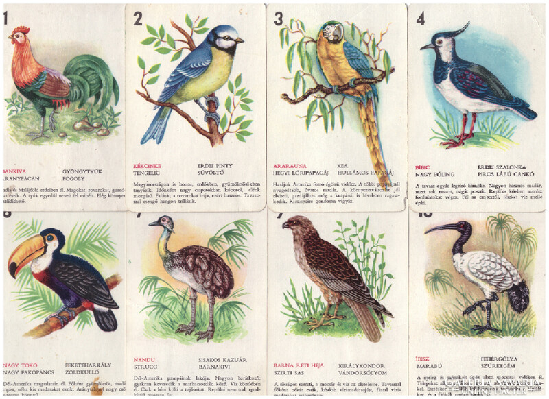 319. Birds quartet playing card factory around 1965 23 cards