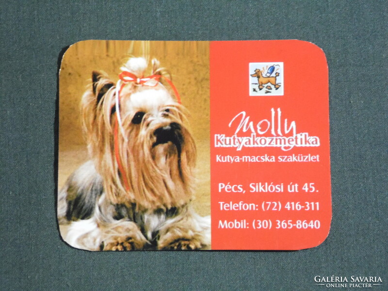 Kártyanaptár, kisebb méret, Molly kutyakozmetika szaküzlet, Pécs,Yorkshire terrier, 2007, (6)